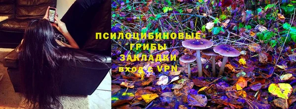 бутират Богородицк
