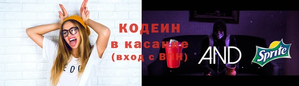 ешки Богданович
