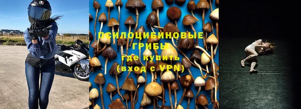 соль ск Беломорск
