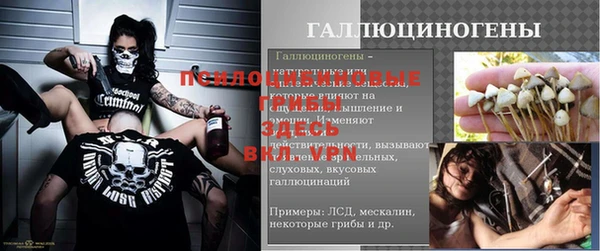 бутират Богородицк