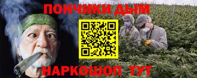 шишки Татарск