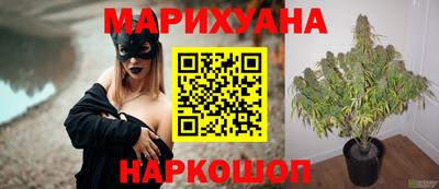 шишки Татарск