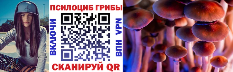 где можно купить hydra как зайти Псилоцибиновые грибы мухоморы Северск