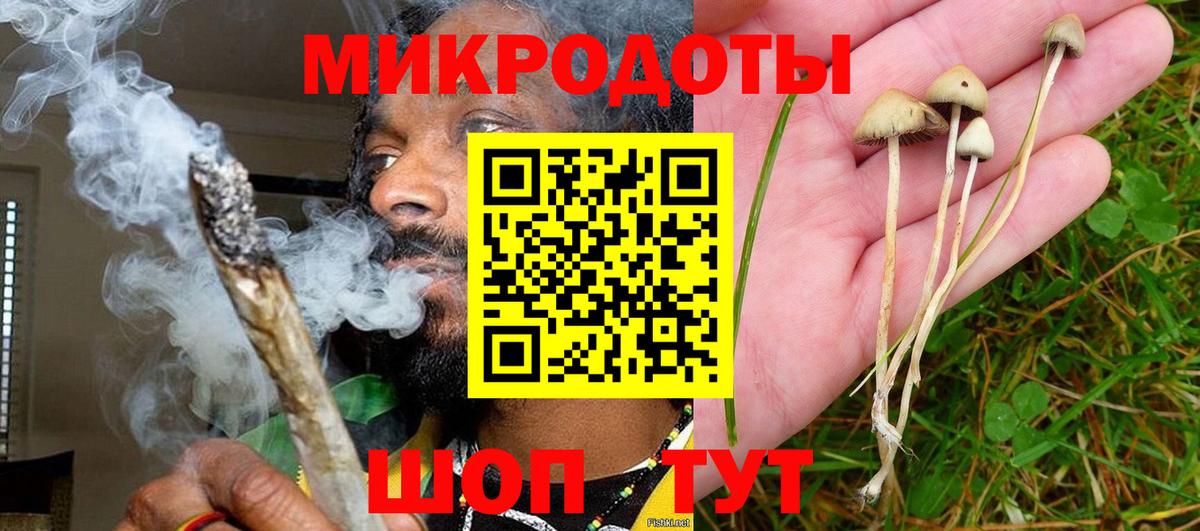Галлюциногенные грибы Psilocybe  Вход с VPN  Северск  Псилоцибиновые грибы прущие грибы 