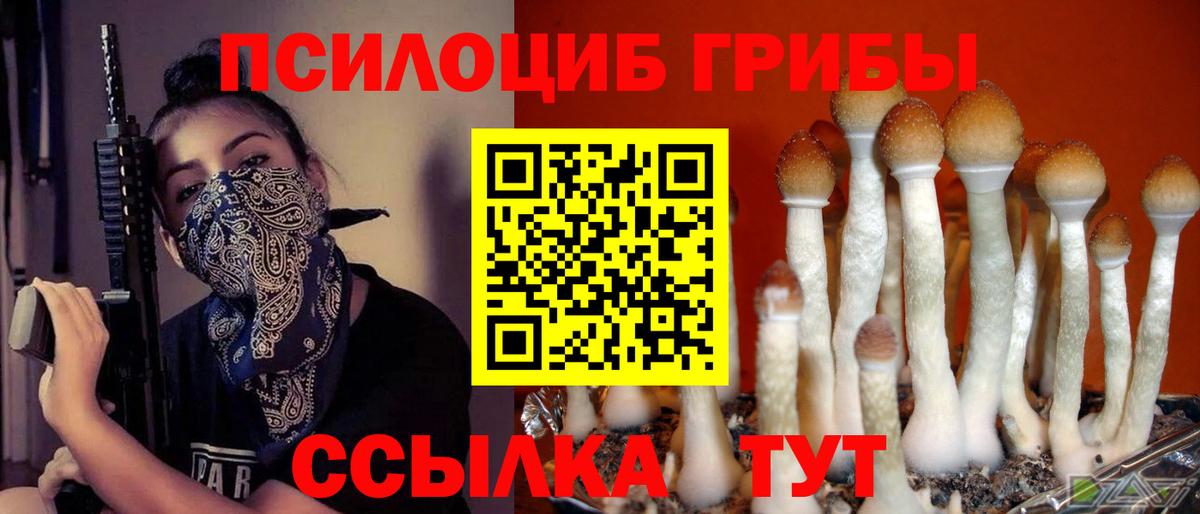 Галлюциногенные грибы ЛСД Северск