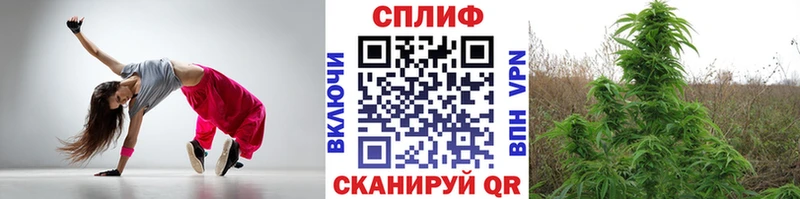 Бошки марихуана план  где найти наркотики  Северск 