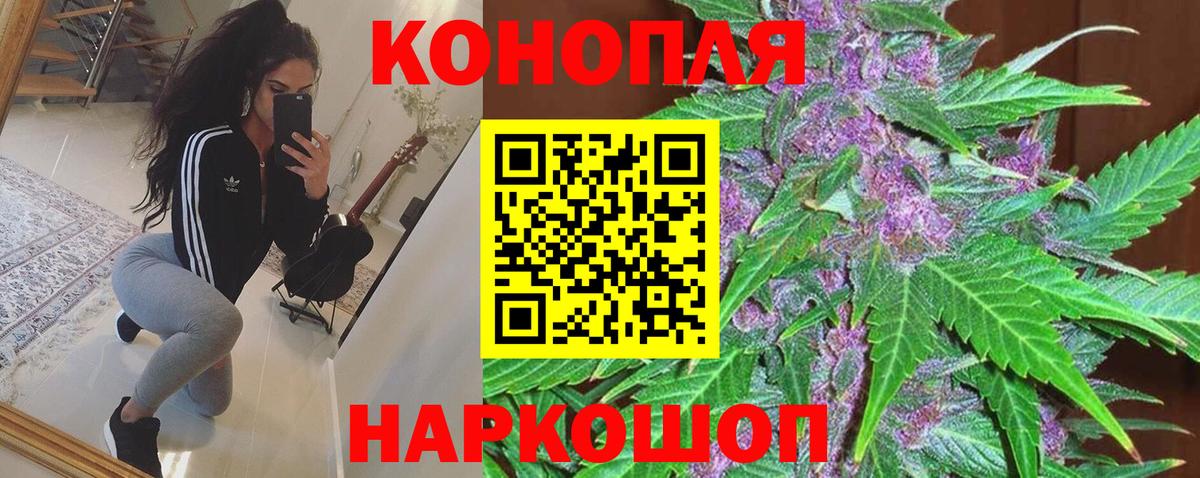 Бошки марихуана семена  Канабис Ganja  Северск  Бошки марихуана Ganja  Вход с VPN 